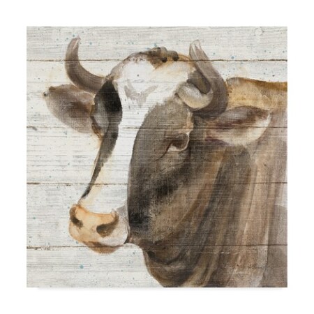 Trademark Fine Art Albena Hristova 'Looking At You Ii Shiplap' Canvas Art, 35x35 WAP04084-C3535GG